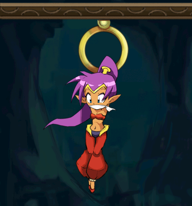Shantae half genie hero