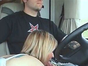 Turtle recommendet driving blowjob car while
