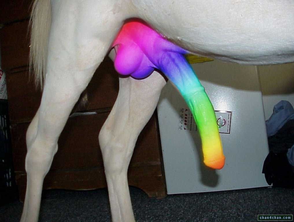 best of Cock rainbow
