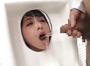 The C. reccomend japanese human toilet