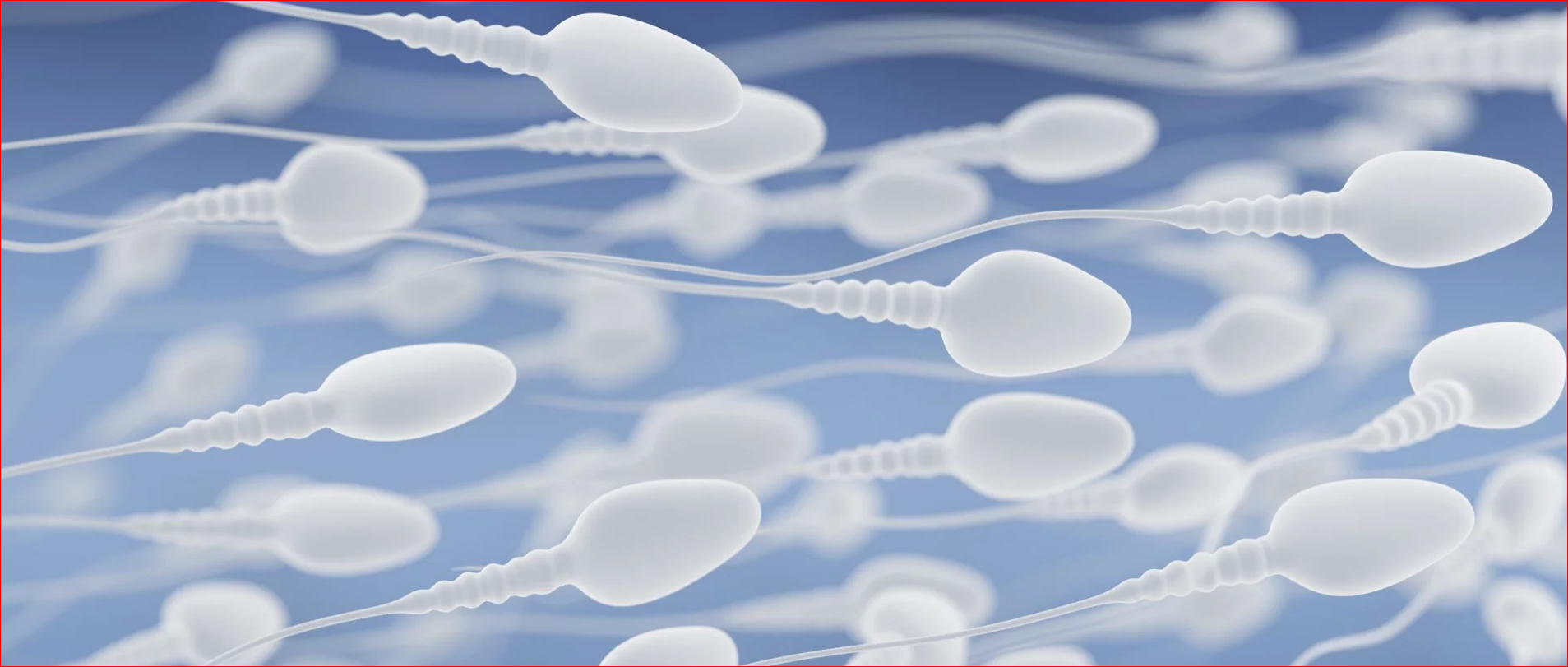 Jessica R. reccomend Recycled sperm growth hormone