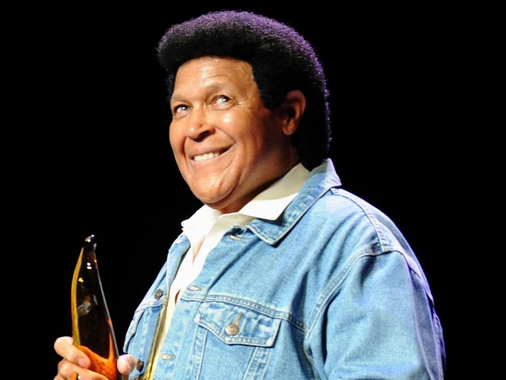 Flamingo reccomend Chubby checker with a microphone