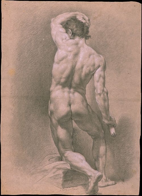 Underdog reccomend Art drawing figure male nude