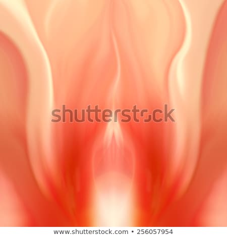 best of Art vulva Close up