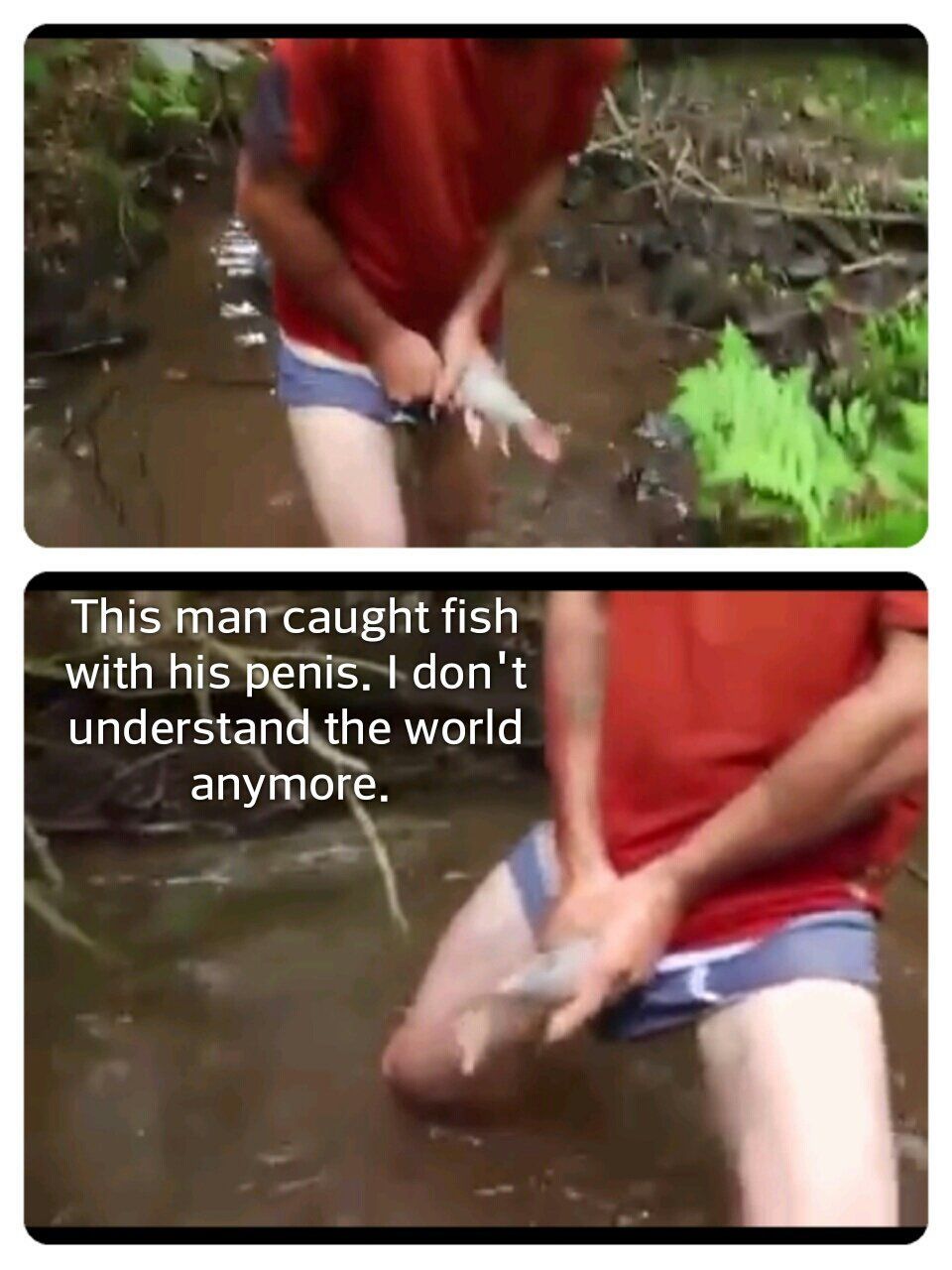 Men Fucking Fish