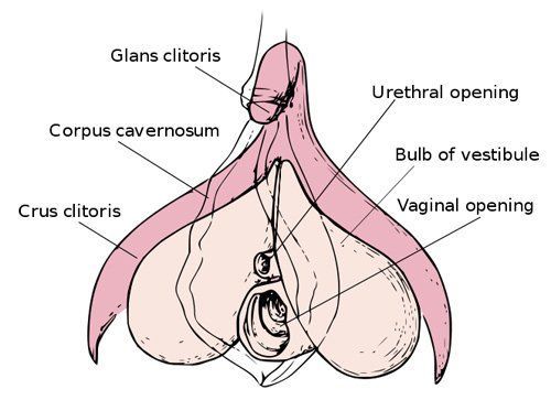 Abcsess on my clitoris