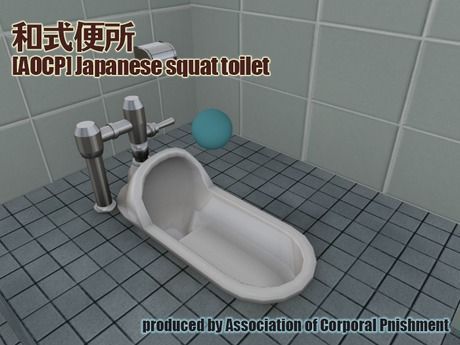 best of Type squat toilet Community pee piss