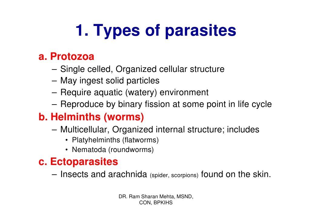 best of Of parasites the exits through anus certain Nocturnal