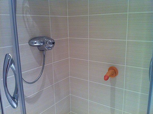 Shower Wall Dildo