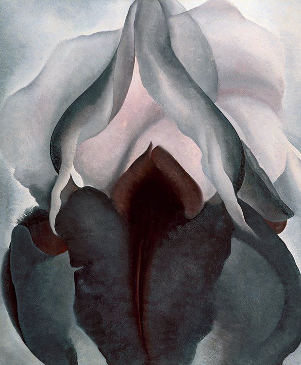Judge reccomend Artistic photos of the vulva