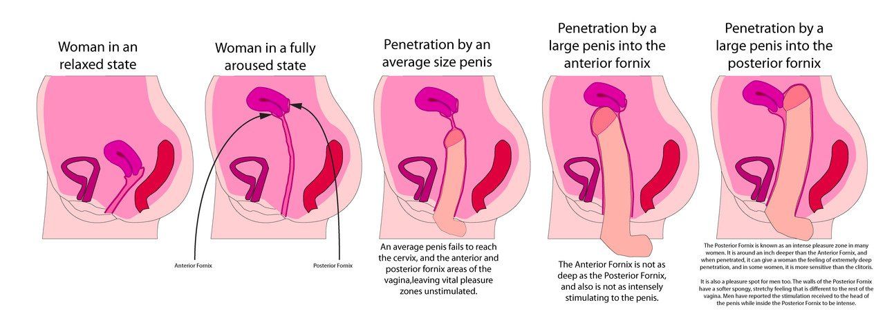 best of Sex during Pictures penetration of