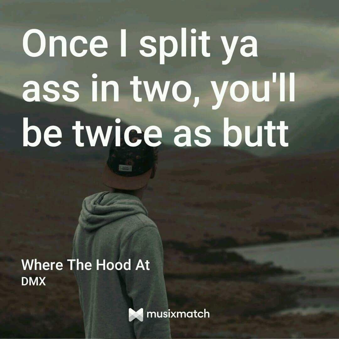 Fuck the shitty fuck shit lyric