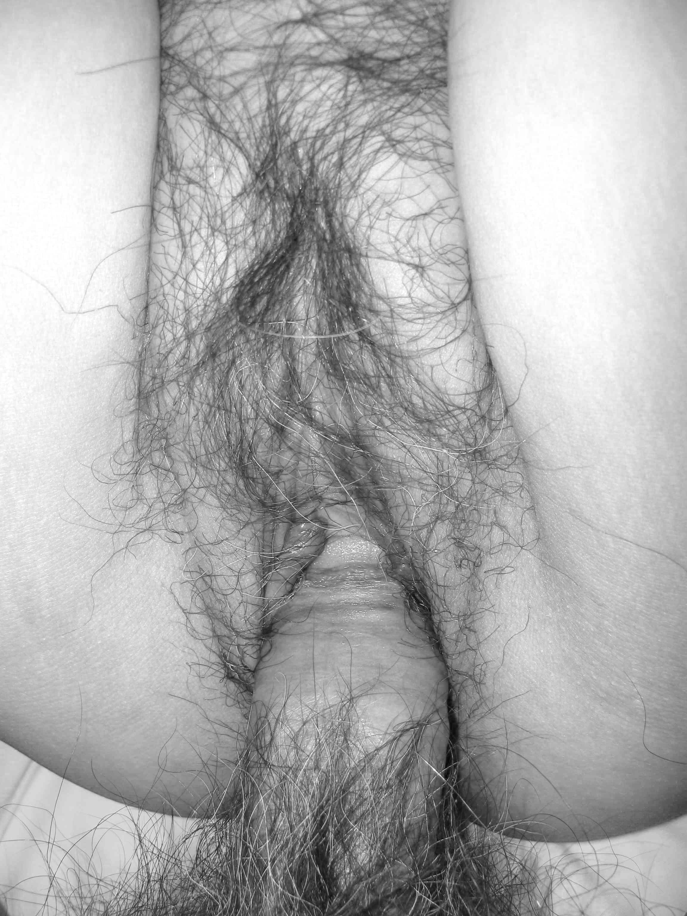 Closeup penetration sex  photo