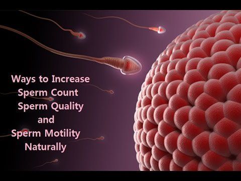 Fuse reccomend Ways to increase sperm motility