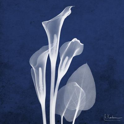 Frontflip reccomend Asian calla lily art print