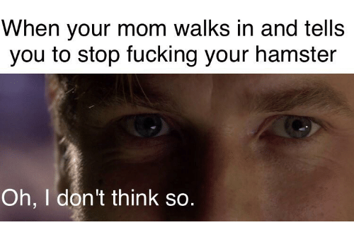 Fuck your mom hamster