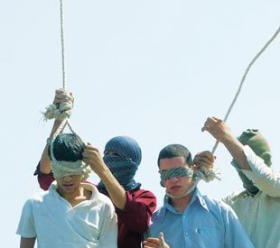 best of Iran Gay hang