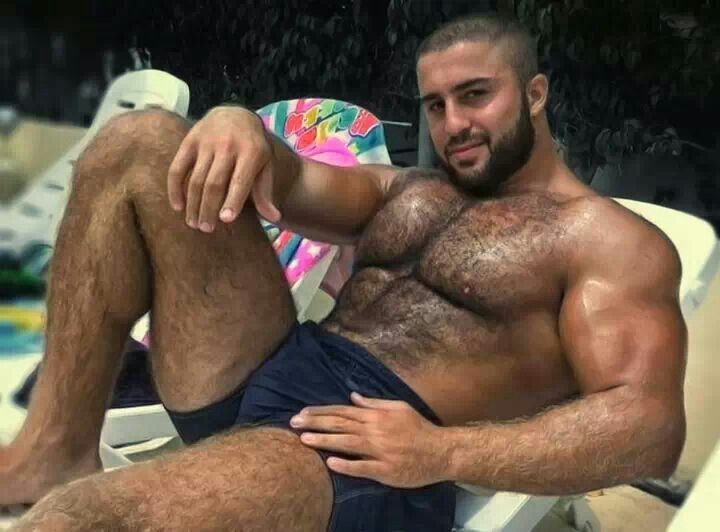 best of Gay bear chest Hairy muscle