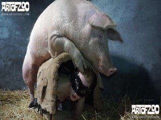 best of Pig Man sex with video clip female