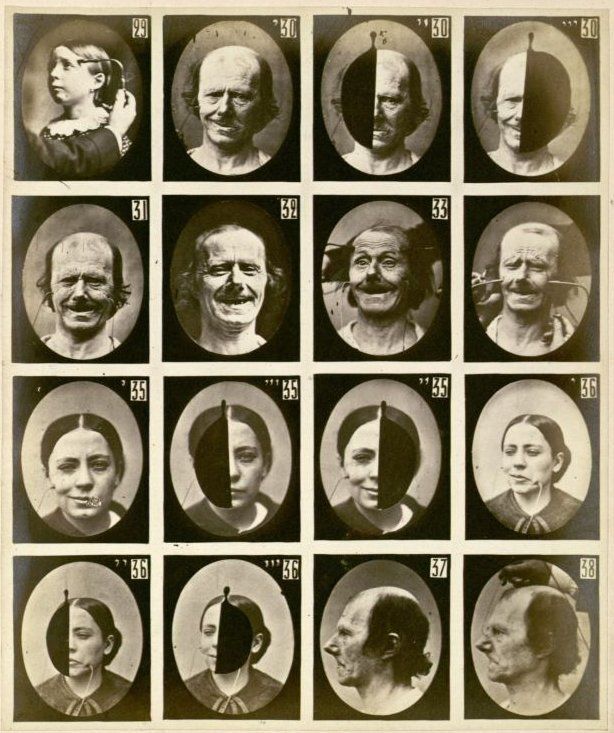 Multiple facial galleries