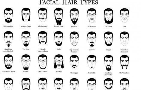 Names for facial hair