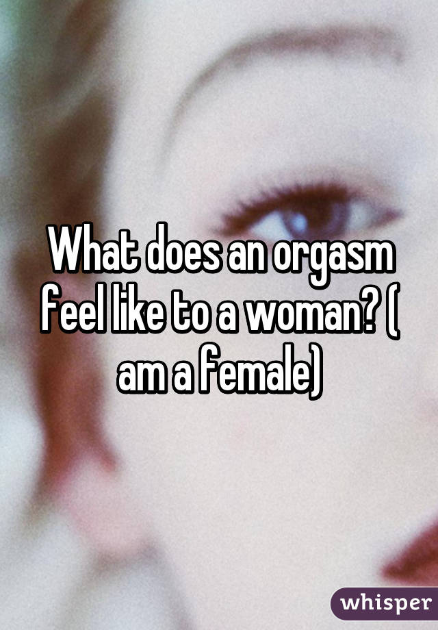 Orgasm like a female