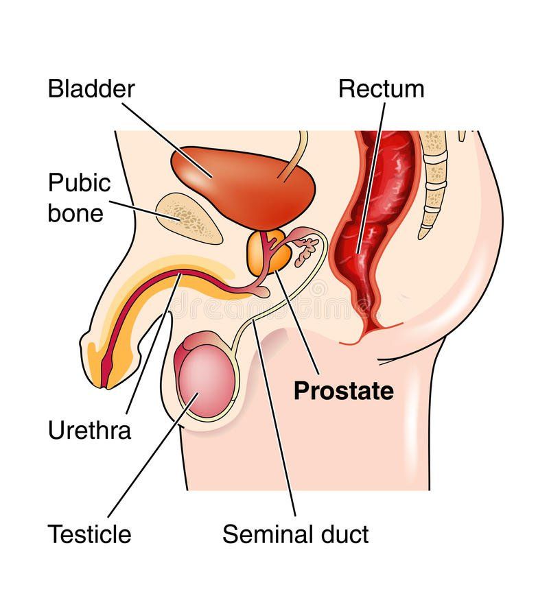 Prostate makes anus raw