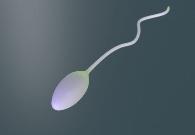 Recycled sperm growth hormone