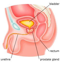 Casper reccomend Swollen anus prostate