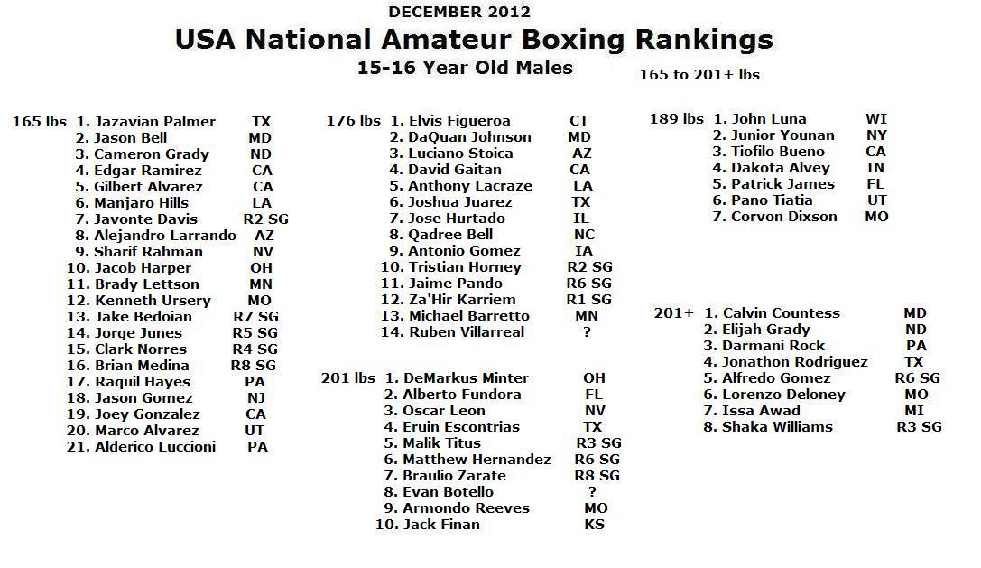 Usa amateur boxer rankings