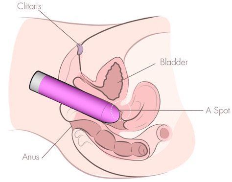 Snapple reccomend Vagina vibrator in use