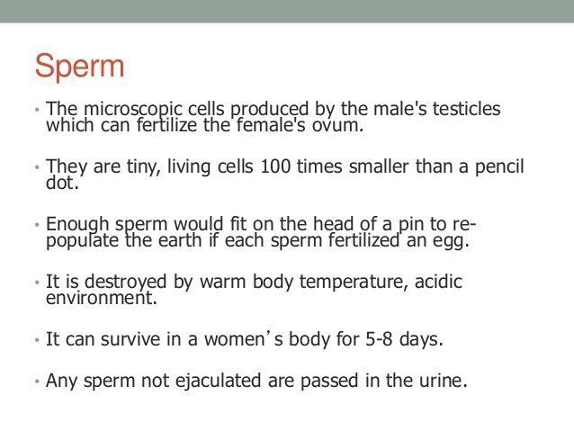 Women produce sperm