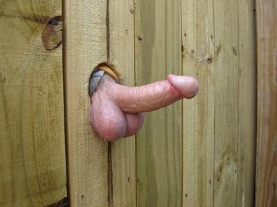 Using board fence gloryhole free porn xxx pic