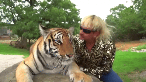 best of Pussycat tiger king wild tames